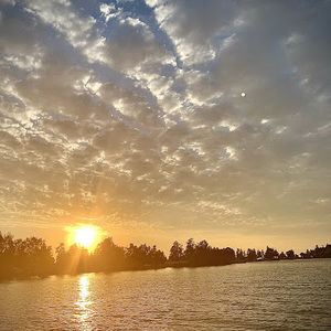 Meet your Posher, Juana